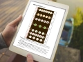 infouprawa_PW_WIZ_eBOOK_07.webp