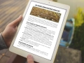 infouprawa_PW_WIZ_eBOOK_10.webp