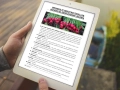 infouprawa_PW_WIZ_eBOOK_13.webp