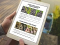infouprawa_PW_WIZ_eBOOK_16.webp