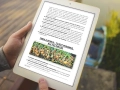 infouprawa_PW_WIZ_eBOOK_17.webp