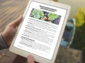 infouprawa_PW_WIZ_eBOOK_19.webp