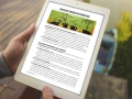 infouprawa_PW_WIZ_eBOOK_20.webp