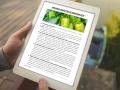 infouprawa_PW_WIZ_eBOOK_22.webp