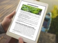 infouprawa_PW_WIZ_eBOOK_24.webp
