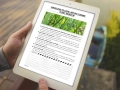 infouprawa_PW_WIZ_eBOOK_26.webp