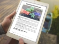infouprawa_PW_WIZ_eBOOK_27.webp