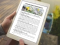 infouprawa_PW_WIZ_eBOOK_28.webp
