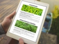 infouprawa_PW_WIZ_eBOOK_29.webp