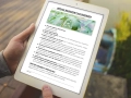infouprawa_PW_WIZ_eBOOK_31.webp