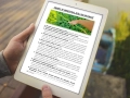 infouprawa_PW_WIZ_eBOOK_32.webp