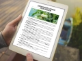 infouprawa_PW_WIZ_eBOOK_33.webp