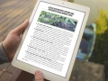 infouprawa_PW_WIZ_eBOOK_34.webp