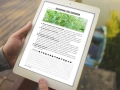 infouprawa_PW_WIZ_eBOOK_35.webp