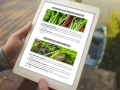 infouprawa_PW_WIZ_eBOOK_36.webp