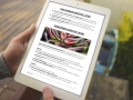 infouprawa_PW_WIZ_eBOOK_38.webp