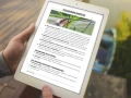 infouprawa_PW_WIZ_eBOOK_41.webp