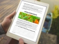 infouprawa_PW_WIZ_eBOOK_42.webp