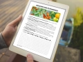 infouprawa_PW_WIZ_eBOOK_43.webp