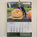 22.webp